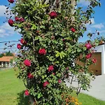 Casa Raquel