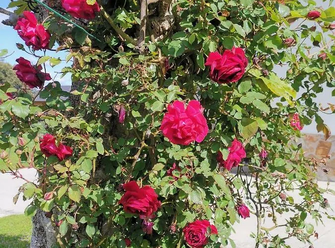 Casa Raquel Holiday home