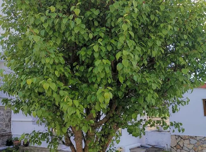 Casa Raquel Holiday home