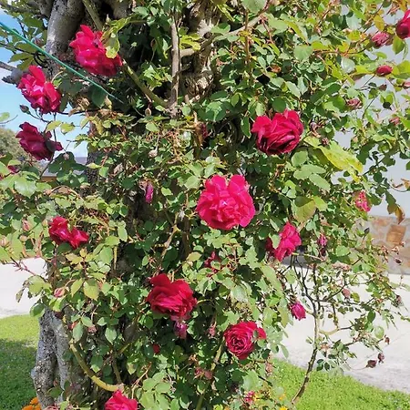 Casa Raquel Nyaraló