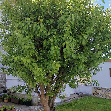 Casa Raquel Nyaraló